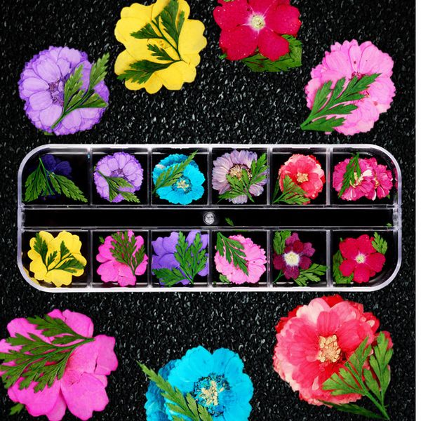 

new beauty 12 colors natural dried flowers leaves nail art stickers slice decorations makeup diy salon tips, Silver;gold