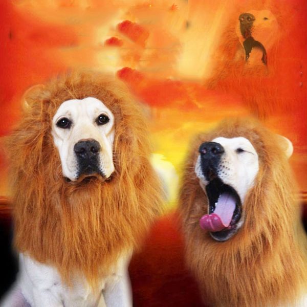 

lion hair ornaments fancy costume mane cat up pet dress 2017 clothes halloween wig for large dogs ofutm
