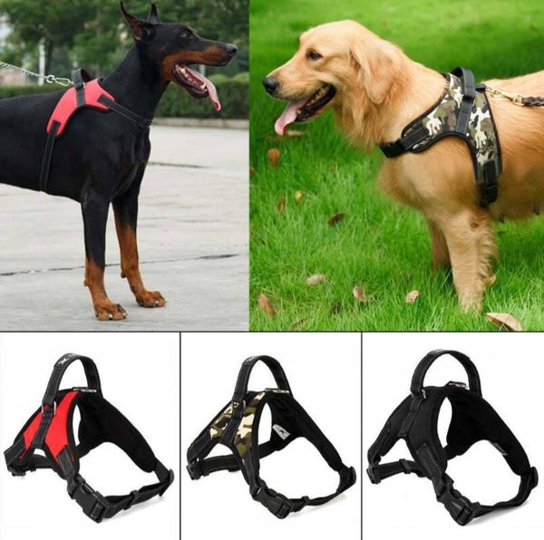 

Caixotes, transportadoras e Totes de cão liangjingjing_watch