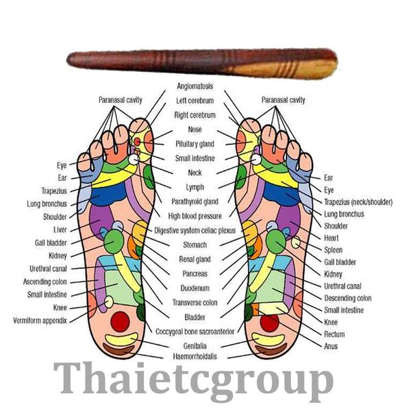 

fly eagle ] 1 x reflexology health thai foot massage wooden stick tool with chart