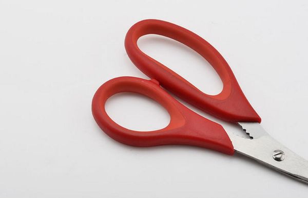 

Popular lob ter hrimp crab eafood ci or hear nip hell kitchen tool popular