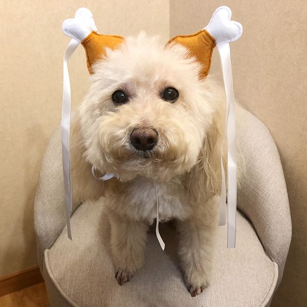 Acheter 2018 Nouveau Pet Tiara Chat Petit Chien Coiffe Poulet Cheveux Accessoires Plier Chat Mignon Spoor Dragon Dress Up Livraison Gratuite De 428