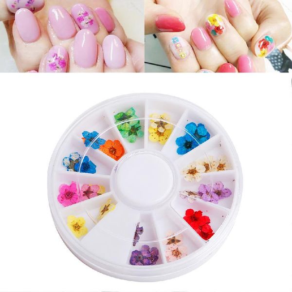 

12color dried flower acrylic nail art wheel make up new, Silver;gold