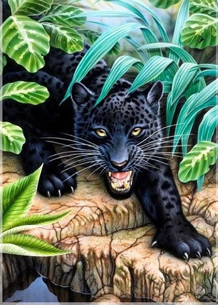 

diy diamond painting cross stitch kit rhinestone full round diamond embroidery animal black leopard home mosaic decoration yx4043