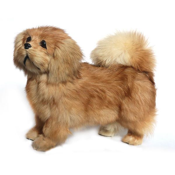 

cuddly Dorimytrader likelike animal Pekingese plush toy stuffed soft relistic poodle toy pet dog decoration gift 20x26cm DY80009, Beige