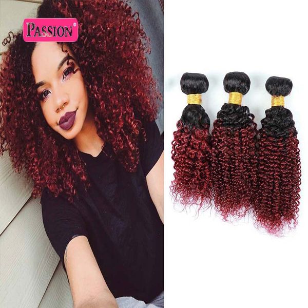

3 bundles burgundy brazilian ombre hair extensions two tone red ombre kinky curly brazilian unprocessed virgin human hair, Black