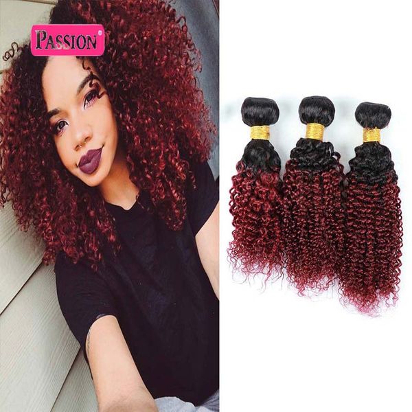 Top Quality 3 Bundles Borgogna Ombre brasiliane Estensioni dei capelli Two Tone Red Ombre Crespi ricci brasiliani non trattati Capelli umani vergini