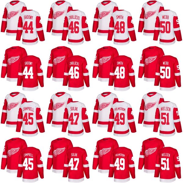 

Detroit Red Wings Jersey 44 Dylan Sadowy 49 Axel Holmstrom 53 Dennis Cholowski 59 Tyler Bertuzzi Custom Hockey Jerseys White Red
