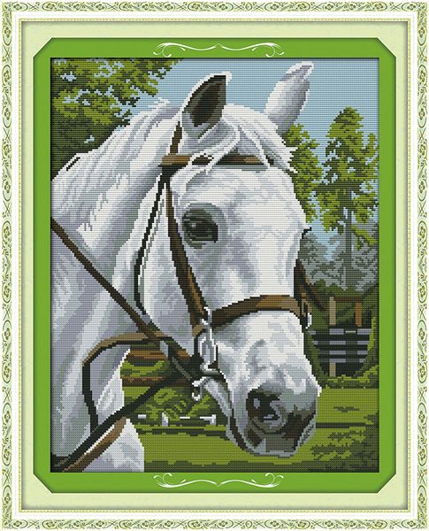 Cavallo bianco Fatto a mano Punto croce Strumenti artigianali Ricamo Set cucito contato stampa su tela DMC 14CT 11CT Dipinti decorazioni per la casa