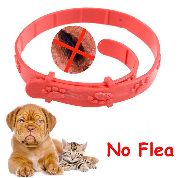 

chain fashion cat dog remedy anti flea mite collar 1pc new neck strap necklace tick pet collar acari protection