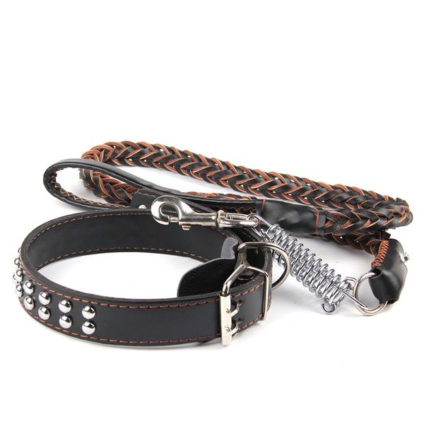 braided leather dog leash