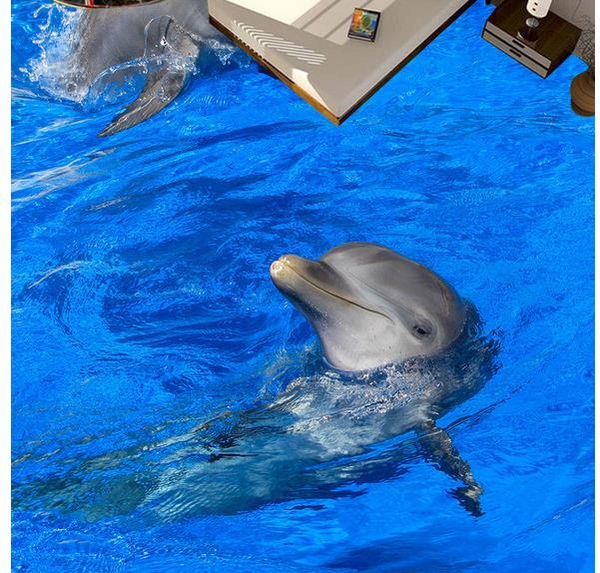 

floor painting 3d wallpaper 3d dolphin playing floor tiles floor painting non-slip waterproof self-adhesive pvc wallpaper