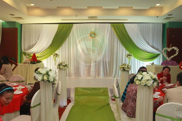 3m 6m 10ft 20ft Wedding Backdrop Swag Party Background Cloth