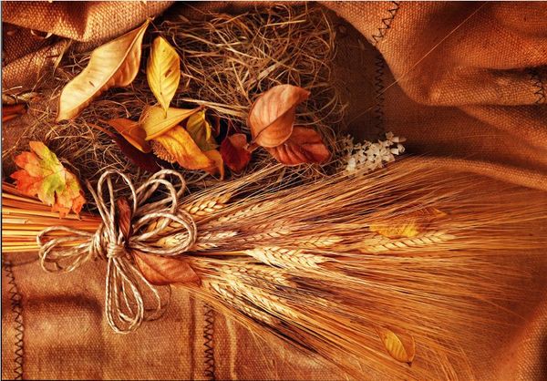 

golden paddy kitchen floor creative ladder ladder flower vine naked eye
