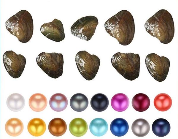 Fantasia Presente Akoya Pérola Alta Qualidade Barato Love Freshwater Shell Pérola Oyster 6-7mm Colorido Misturado Pearl Oyster com Embalagem de Vácuo Bom