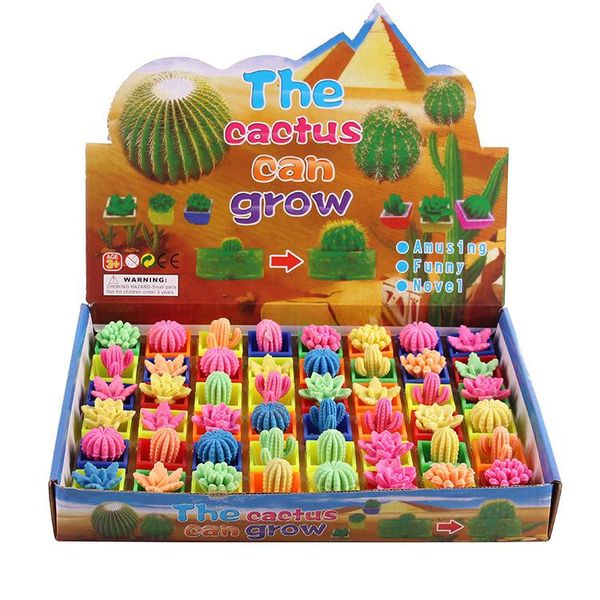 

magic plant flowers growing in water cactus toys soaking expansion can grow expand water absorption children toys cactus can grow