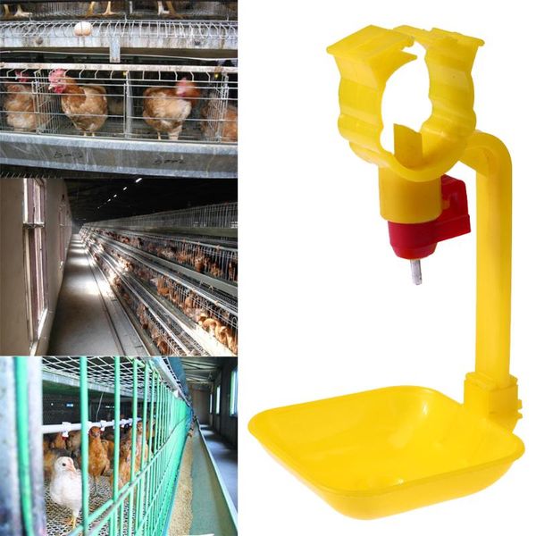 Automatic Chicken Water Drinking Cups Poultry Birds Hanging