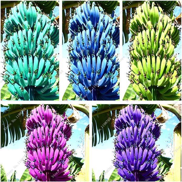 

Outros Acessórios Jardim ymhzdy