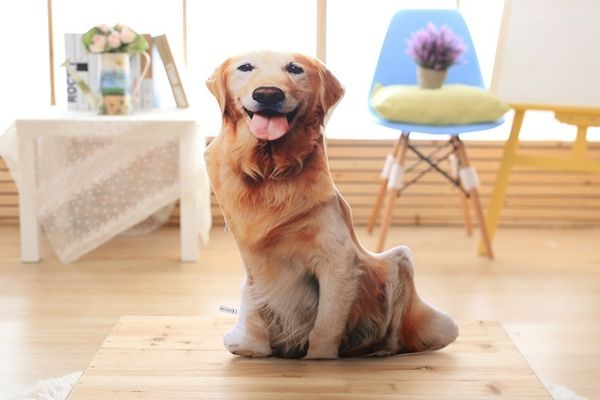 

creative simulation dog pillow funny plush toy doll birthday gift doll