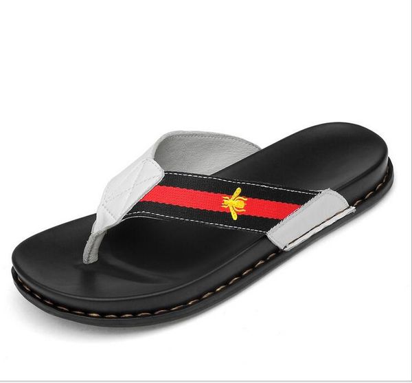 

Chinelos beautiful212