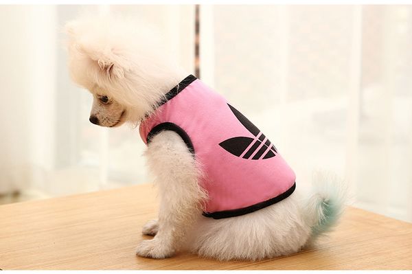 

Roupas para Cães febhome