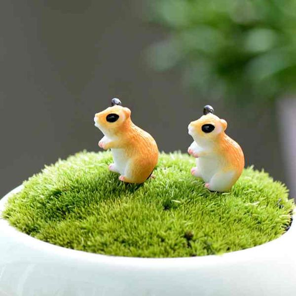 

мђлилм cute hamster оѬнамен игђѬка кђкл деи подаѬоне moss еѬѬаѬиђм micro пейзаж