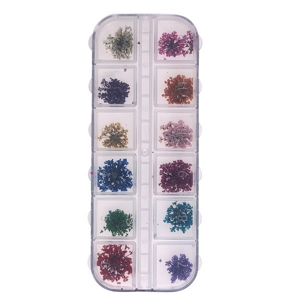

12 lattice/color 3d dried flower nail art decal dry flowers manicure real natural petal diy manicure tools, Silver;gold