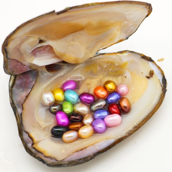 

wholesale natural freshwater pearls with oysters, 6-8mm25 mixed color oval pearls packed in oysters in vacuum (