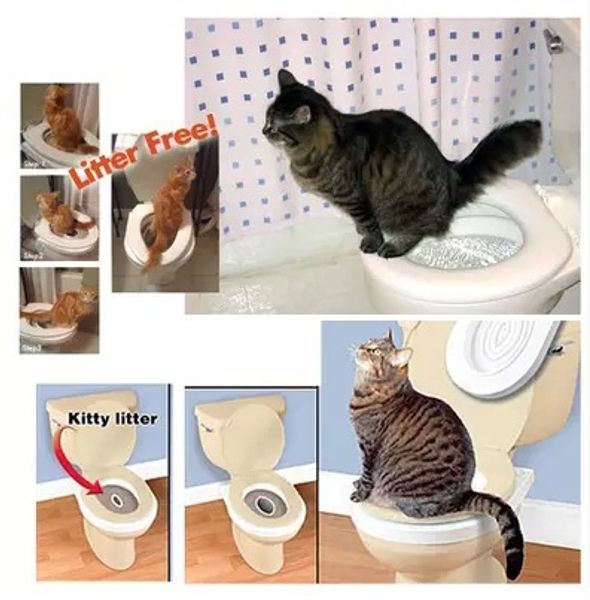 

Outros Artigospara Gatos mcaffee