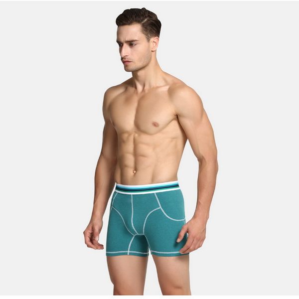

2017in the winter the new design men 's boxers to keep warm lengthen straight male with thick cotton pants underpants, Black;white