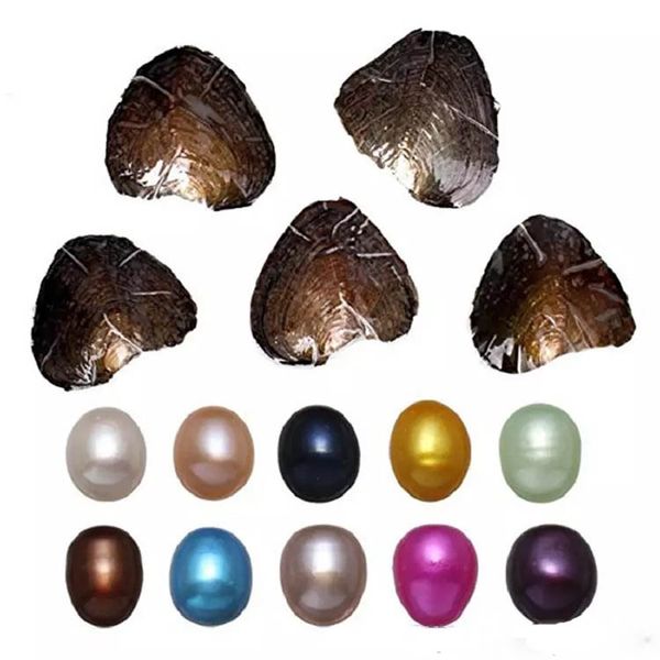 

round oyster pearl 6-8mm 2018 new 20 mix color big fresh water gift diy natural pearl loose beads decorations vacuum packaging epacket, Black