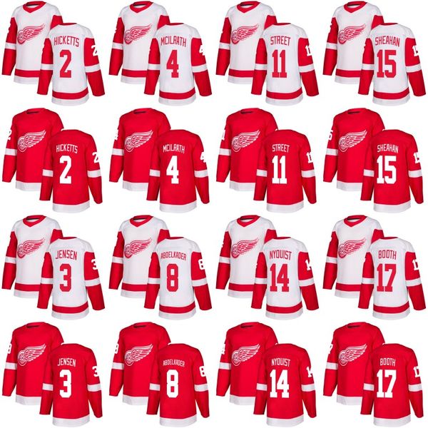 

Detroit Red Wings Jersey 2 Joe Hicketts 11 Ben Street 14 Gustav Nyquist 18 Robbie Russo 25 Mike Green Custom Hockey Jerseys