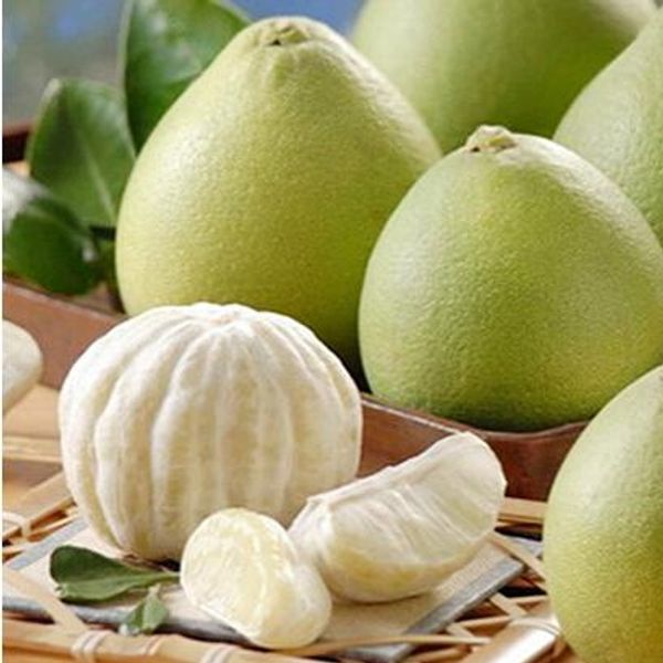 

Тайский Pomelo Citrus maxima, Pomelo виноград Фрукты 20 семена из Таиланда редкие семена фруктов для дома сад посадки