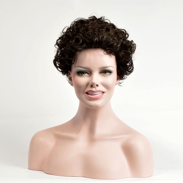 Black Pearl Short Curly Hair Dark Brown Hair Wigs For Black Women