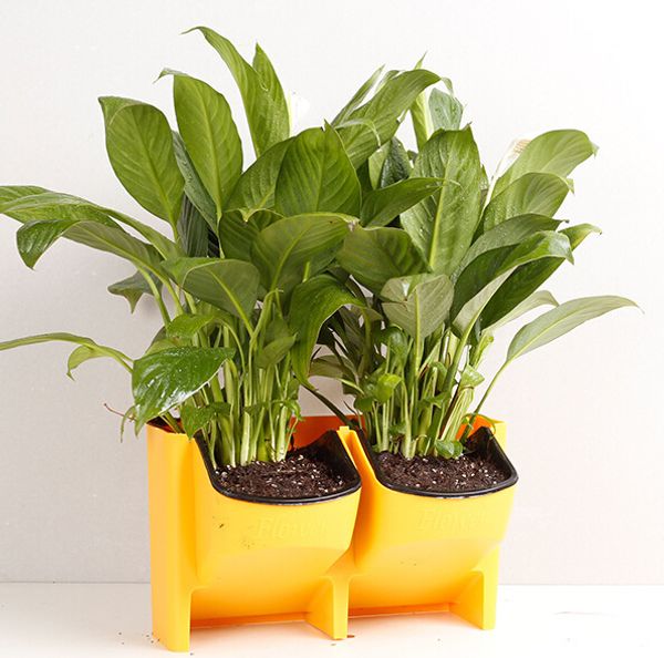 2019 Indoor And Outdoor Balcony Wall Hanging Flower Pot Plant Vertical Environmental Protection Creative Combination Resin Plastic Po From - Wall Hanging Pot Plants 2019 Indoor And Outdoor Balcony Wall Hanging Flower Pot Plant Vertical Environmental Protection Creative Combination Resin Plastic Po From - Wall Hanging Pot Plants