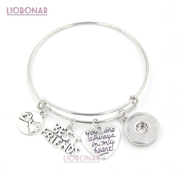 

new arrival friend charm bracelet 18mm snap jewelry friends adjustable snap bangles bracelets for friends gift birthday gift, Golden;silver