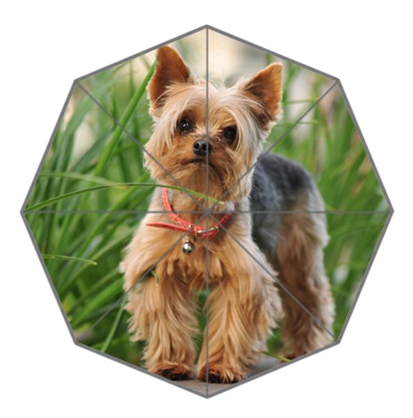 

custom yorkshire terrier smart pet-1 elephant foldable umbrellas suprised gift for lover friend