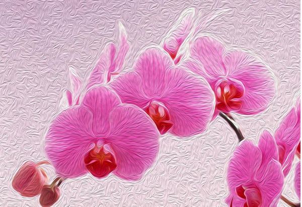 

3d wallpaper mural decor p backdrop hd psd layered 3d phalaenopsis tv background wall art mural for living room large painting home de
