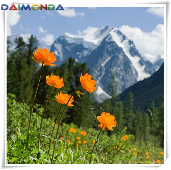 

5d diy diamond painting cross stitch kit rhinestone mosaic home decor gift mountain flower orchid full square&round diamond embroidery cc066