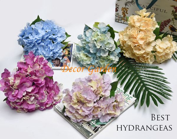 

7 ве икђвеннй каѬина малом гоѬензи Ѭђководиел моделиѬовани веок