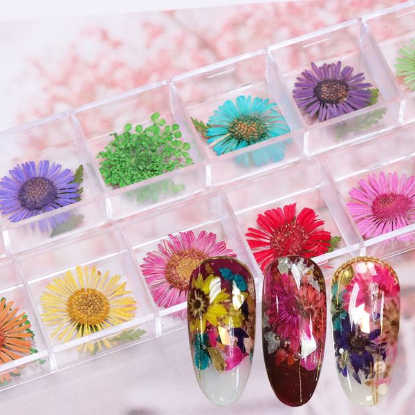 

12 designs 3d daisy nail dry flower petal natural floral leaves nail art decoration diy sticker tips manicure tools set safl677, Silver;gold