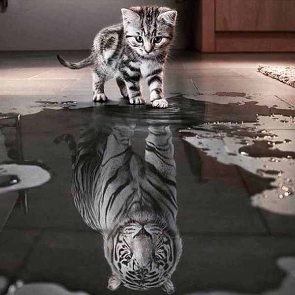 

full square 5d diy diamond painting cat tiger animal crystal embroidery cross stitch needlework mosaic painting decor gift vip