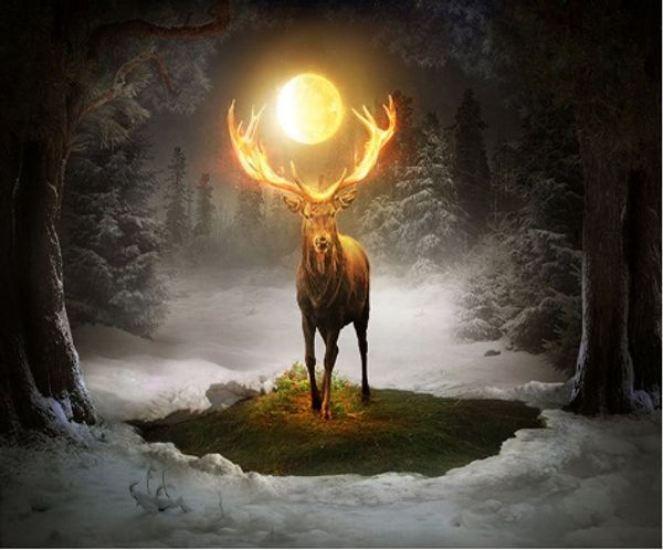 

full square/round drill 5d diy diamond painting "elk" embroidery cross stitch mosaic home decor art experience toys gift a0149