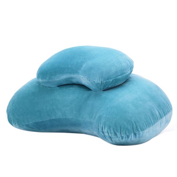 Eonshine Elegant Comfortable Velvet Nap Pillow Polyester Double