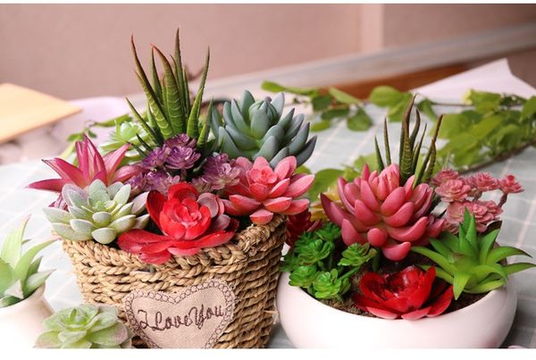 

Wholesales 84 Styles Artificial Succulents Wedding Decoration Centerpieces Home Decor PVC Artificial Plants Real Touch Fake Flowers