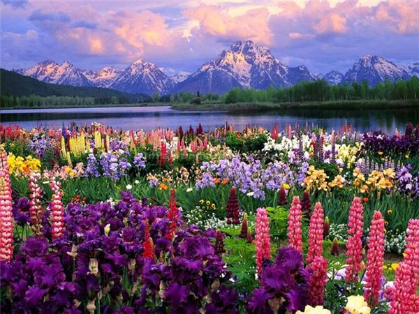 

diamond embroidery landscape lavender lake hill diy diamond painting cross stitch kit resin full round diamond mosaic home decoration yx4090