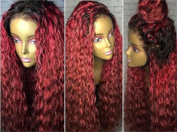

Ombre 1b 99j color brazilian human hair full lace wig loo e wavy two tone lace front wig gluele wig