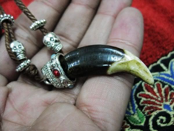 

yqtdmy 10 pcs vintage women men tibet jewelry amulet fangs canine surfer rope necklace, Silver