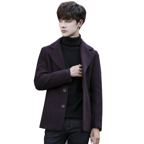 

autumn and winter windbreaker men's self-cultivation jacket male korean version handsome short paragraph male woolen thick coat, Black