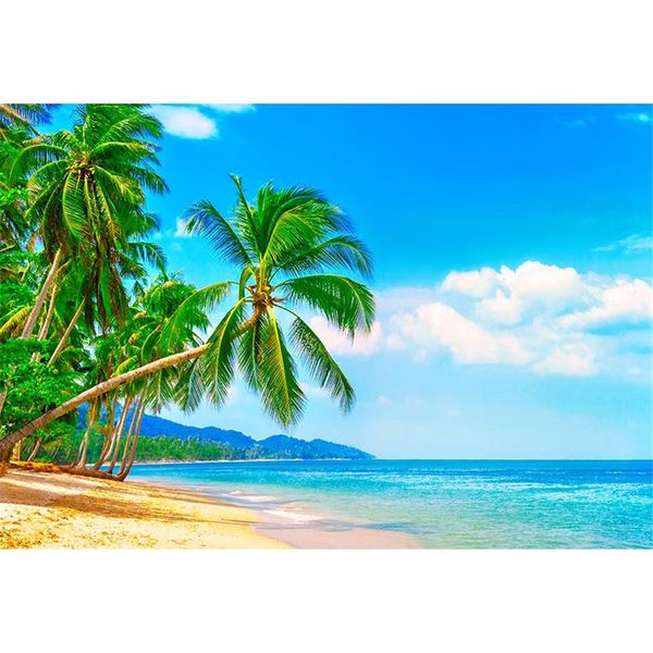 Fondali spiaggia tropicale per la fotografia Cielo blu e palme verde mare Sfondi per studio fotografico di matrimonio in riva al mare